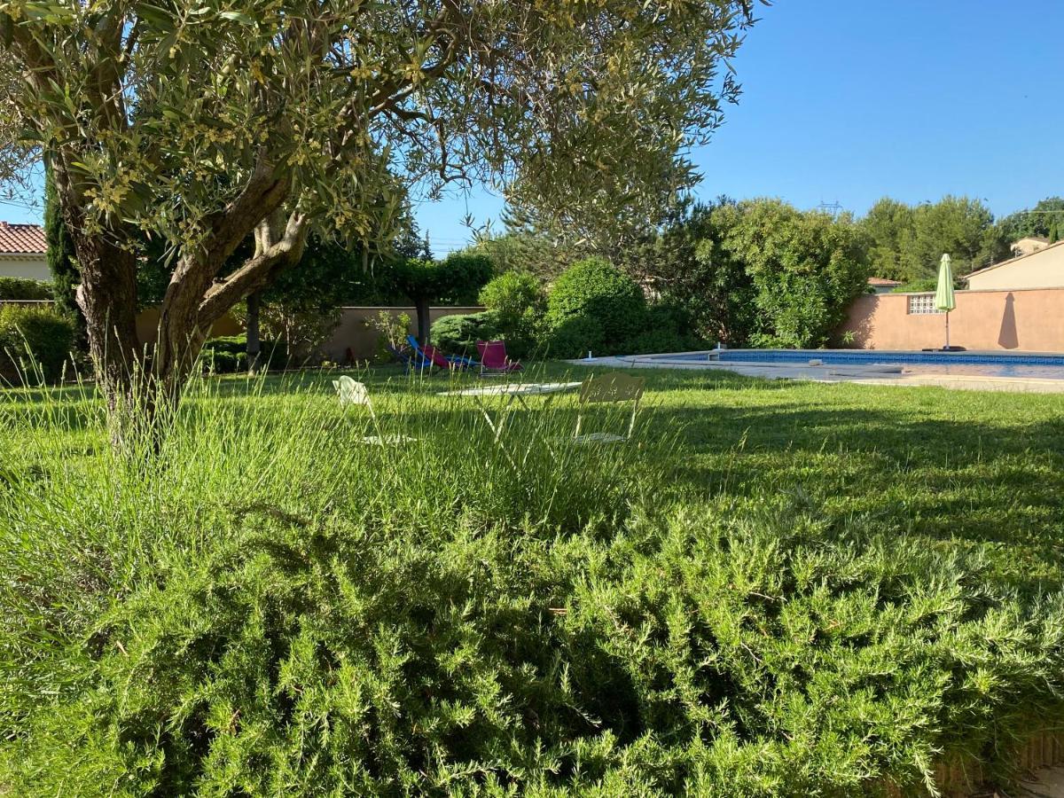 Villa Et Maisonnette Provencales カルパントラ エクステリア 写真