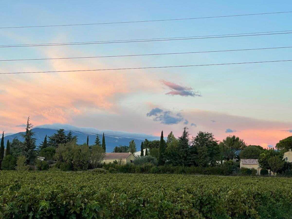 Villa Et Maisonnette Provencales カルパントラ エクステリア 写真
